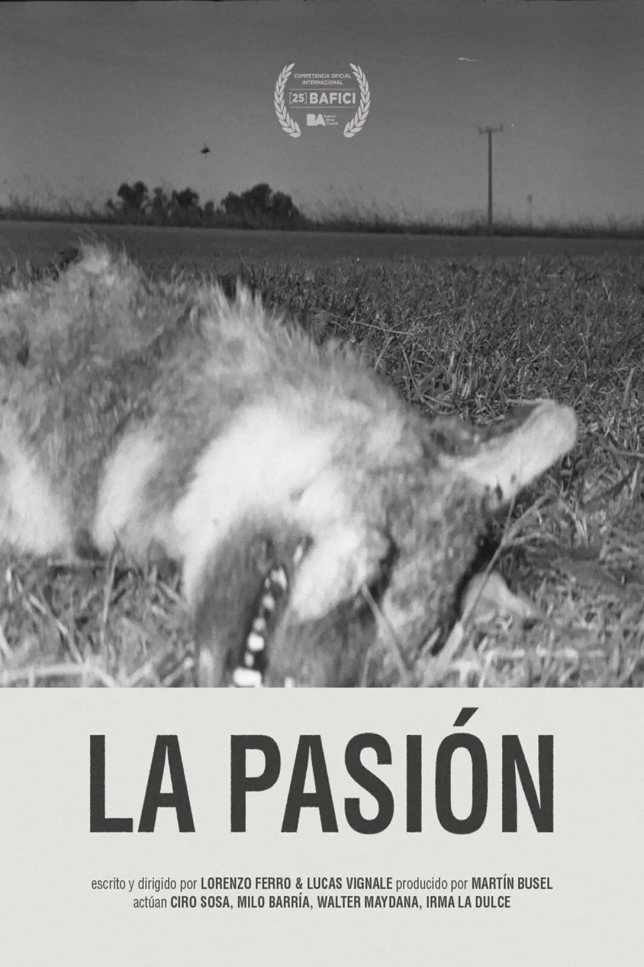 Постер до фільму "La pasión"
