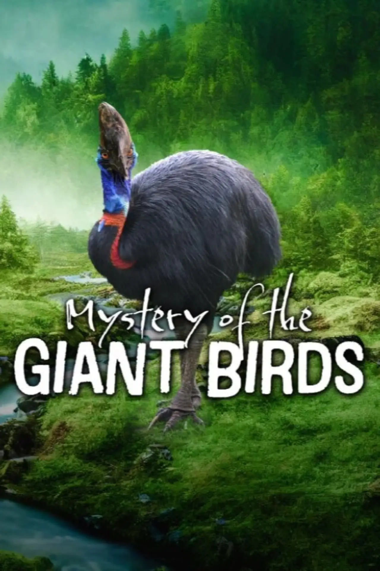 Постер до фільму "Le mystère des oiseaux géants"