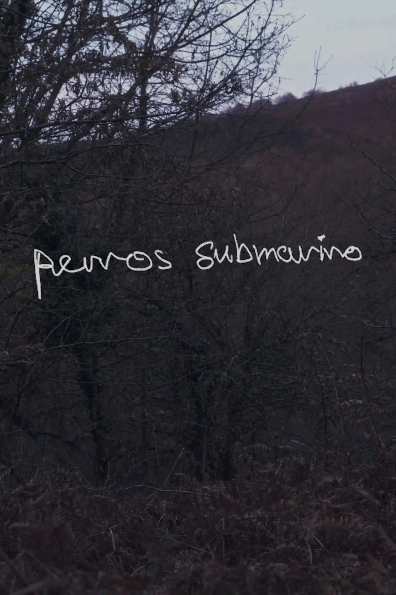 Постер до фільму "Perros submarino"