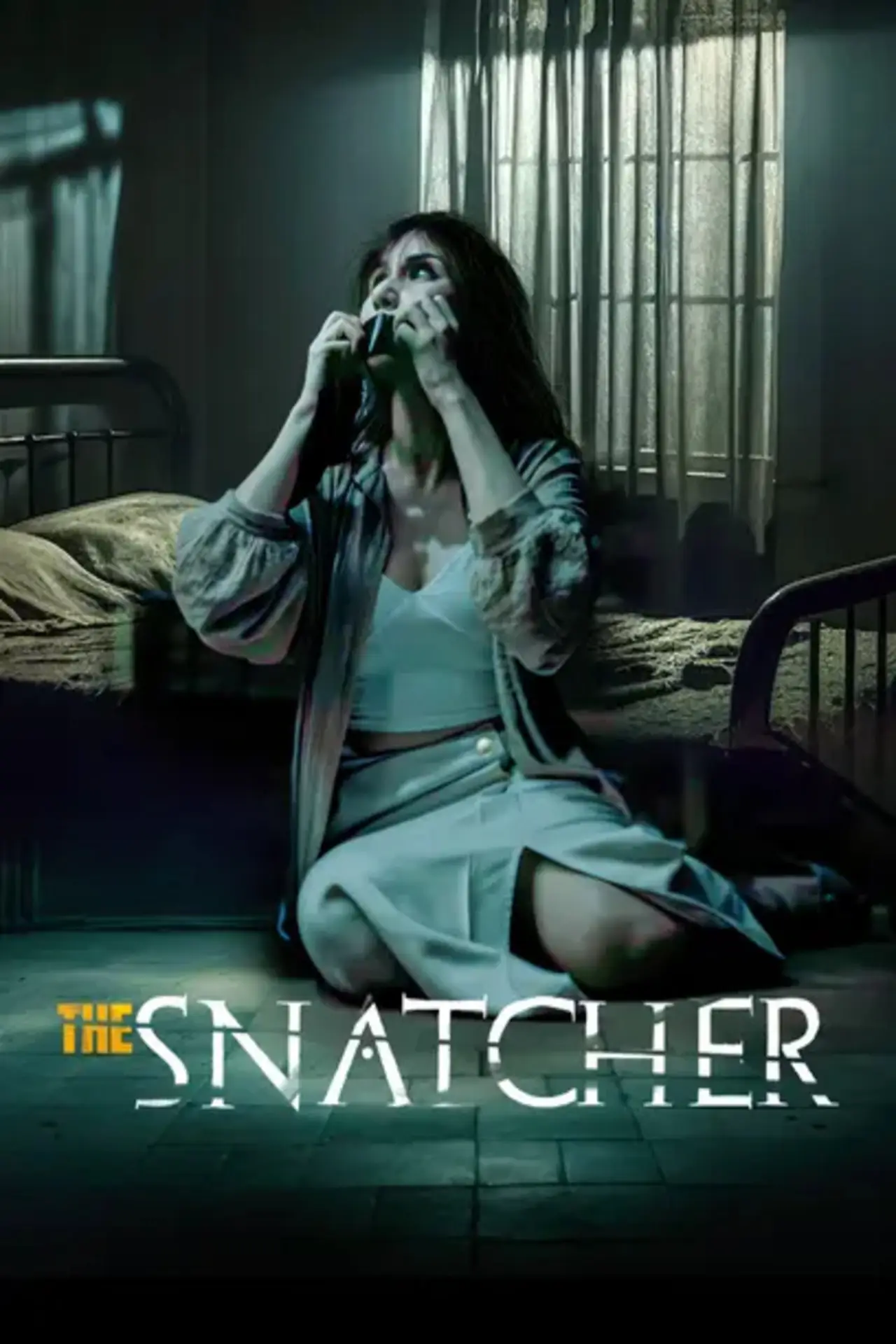 Постер до фільму "The Snatcher"