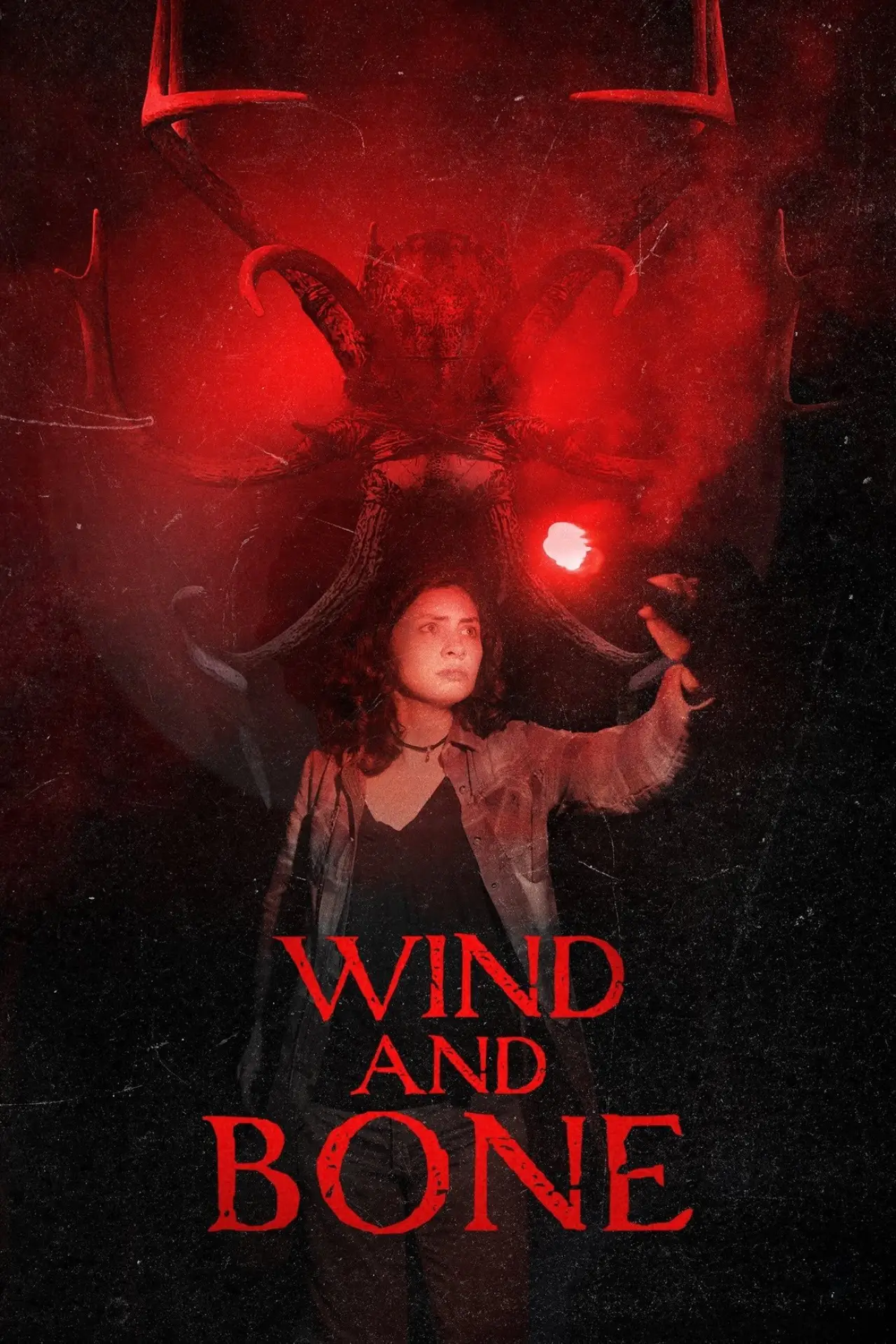 Постер до фільму "Wind and Bone"