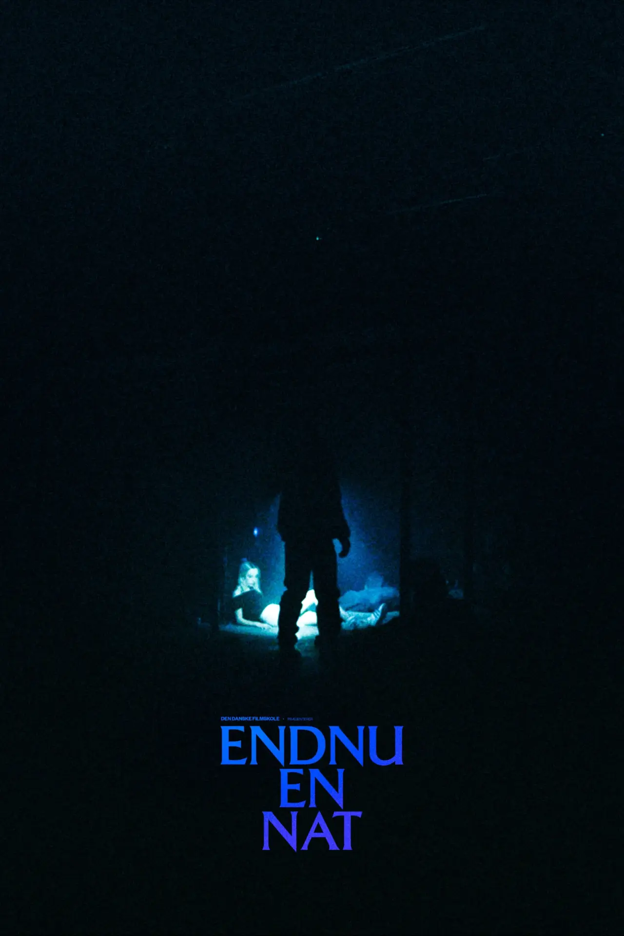Постер до фільму "Endnu en nat"