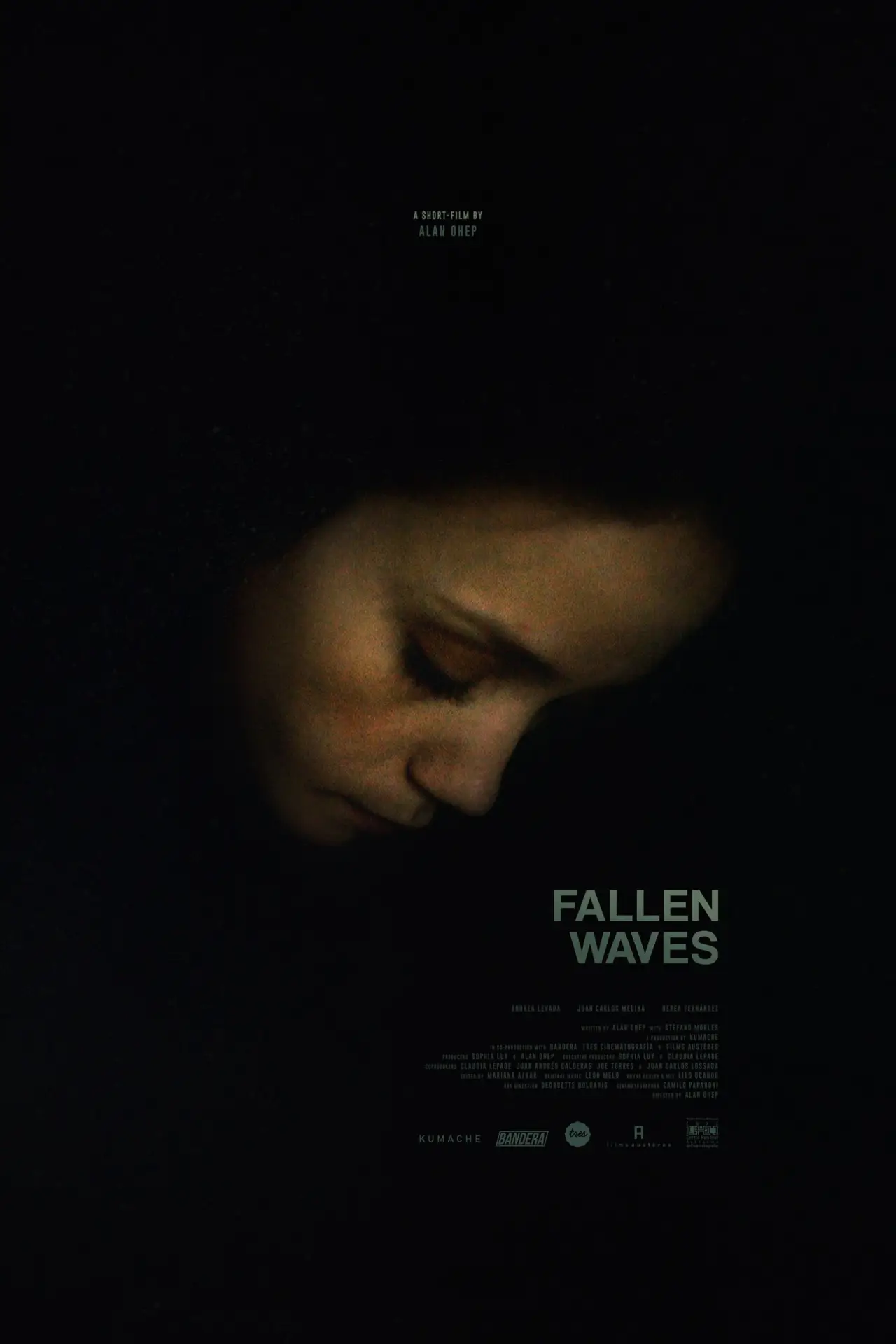Постер до фільму "Fallen Waves"
