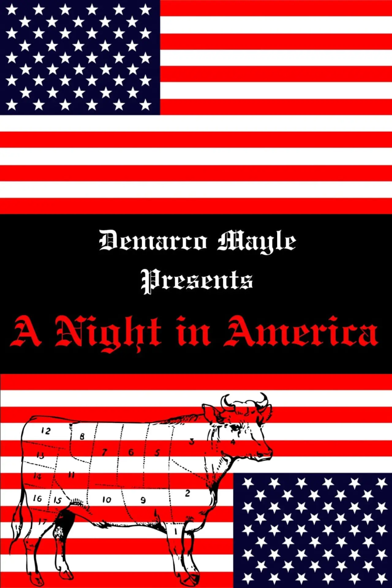 Постер до фільму "A Night in America"