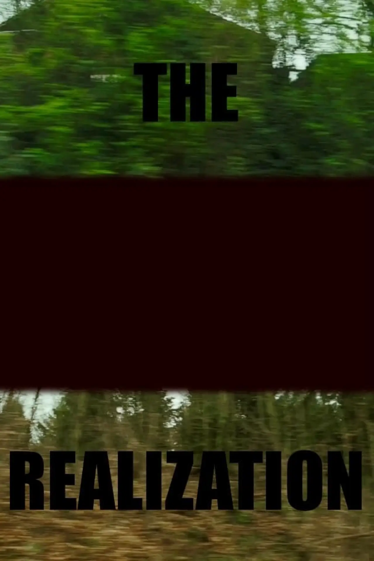 Постер до фільму "The realization"