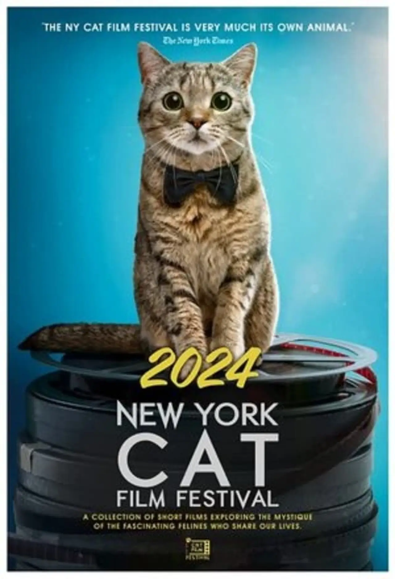 Постер до фільму "2024 New York Cat Film Festival"
