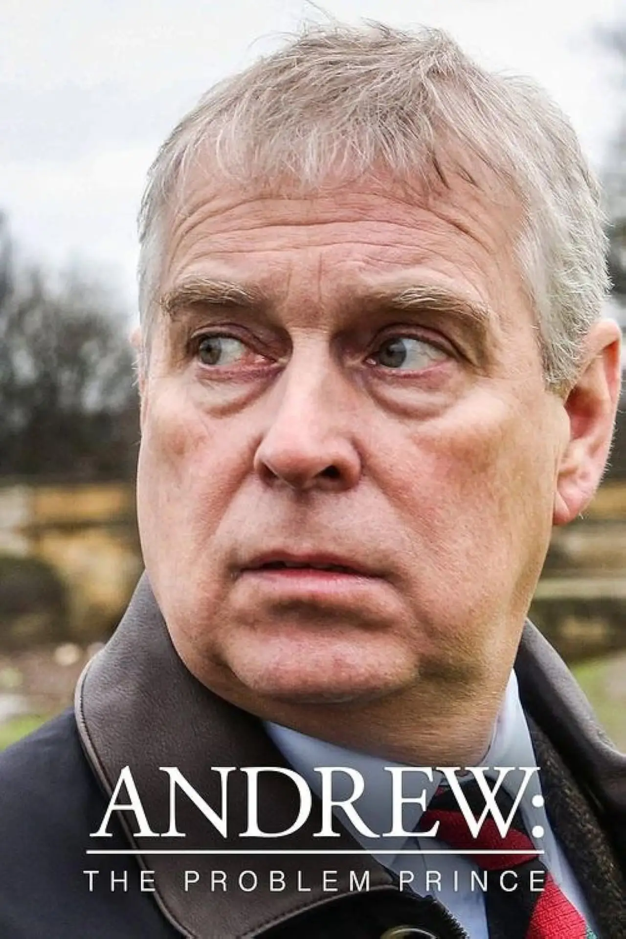 Постер до фільму "Andrew: The Problem Prince"