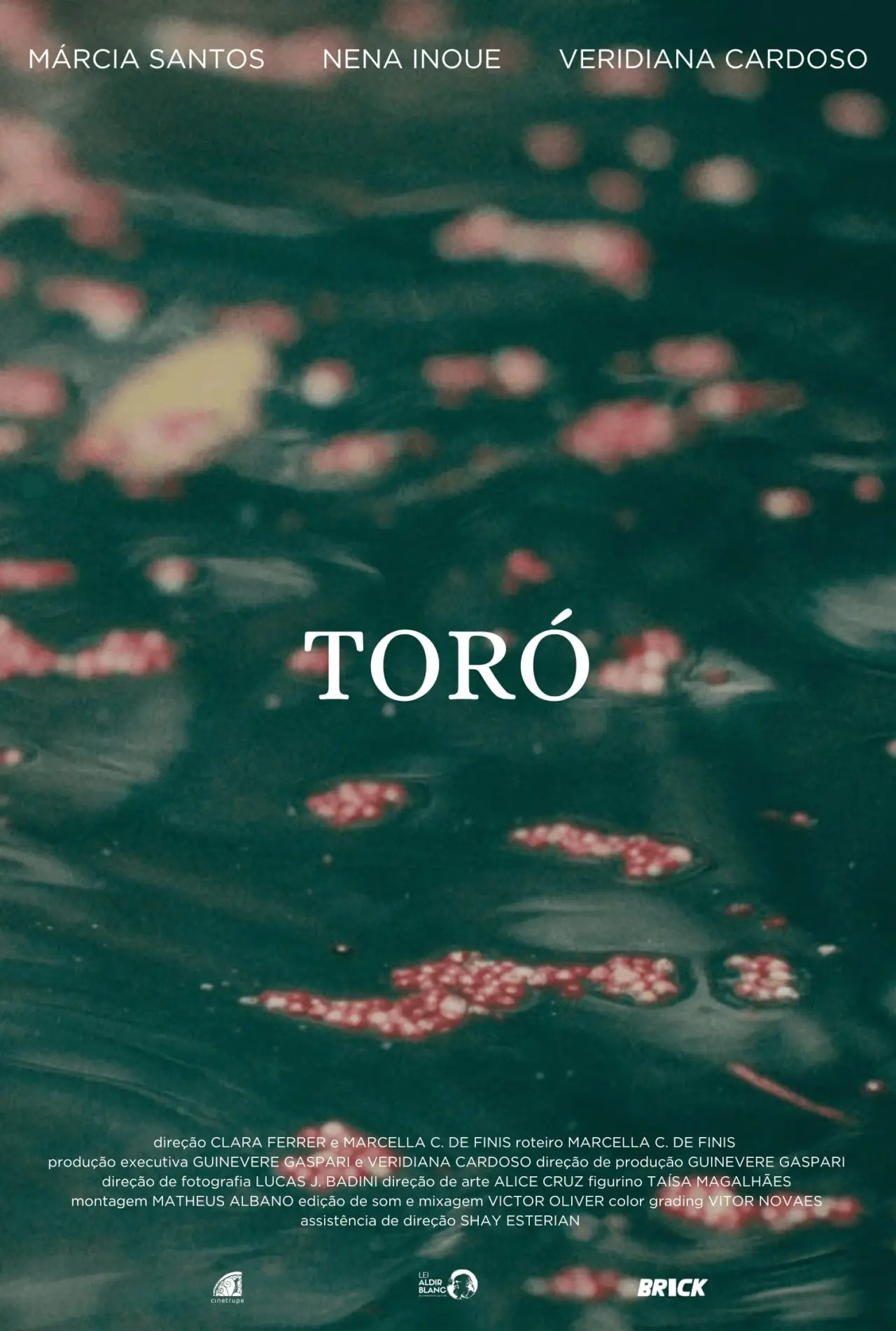 Постер до фільму "Toró"