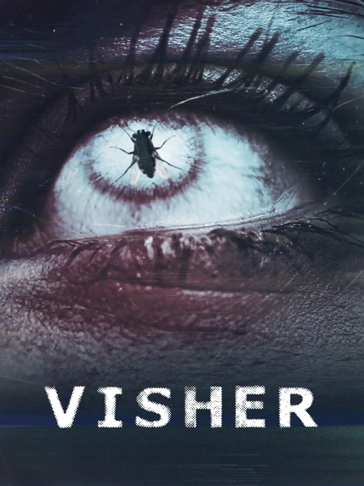 Постер до фільму "Visher"