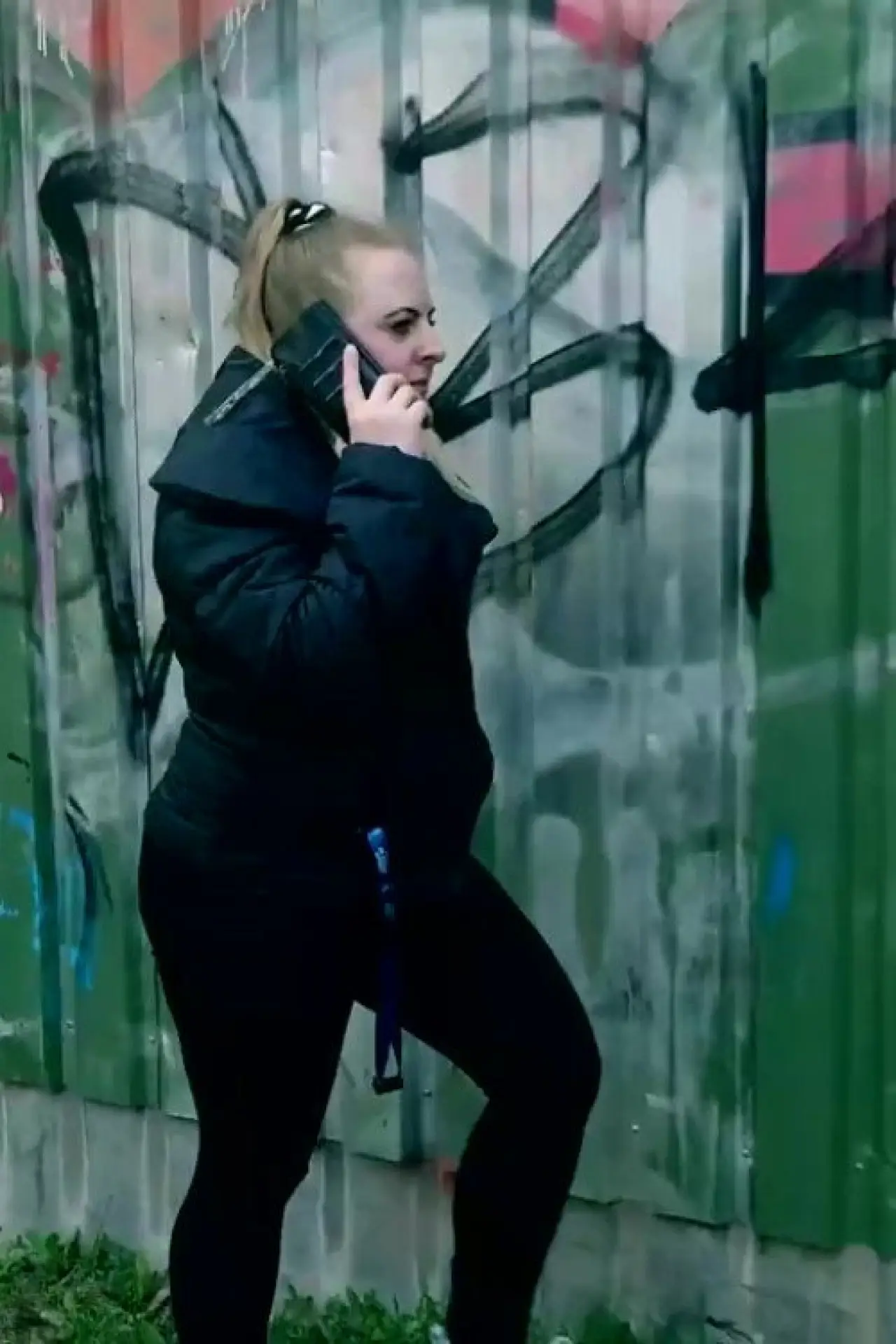 Постер до фільму "Flicka söker hund"