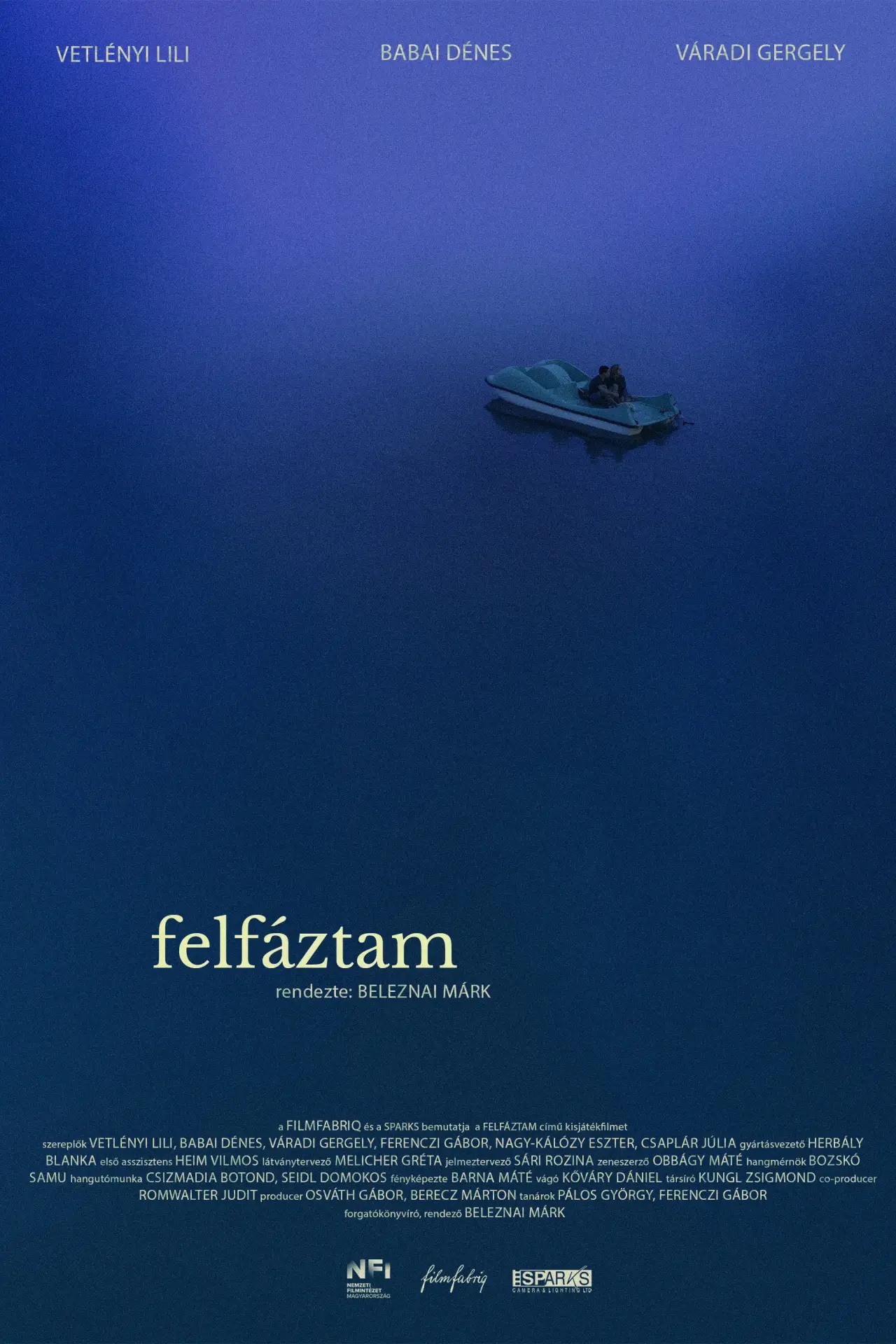 Постер до фільму "Felfáztam"