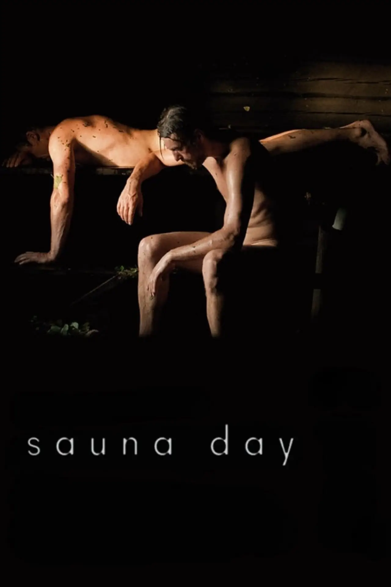 Постер до фільму "Sannapäiv"