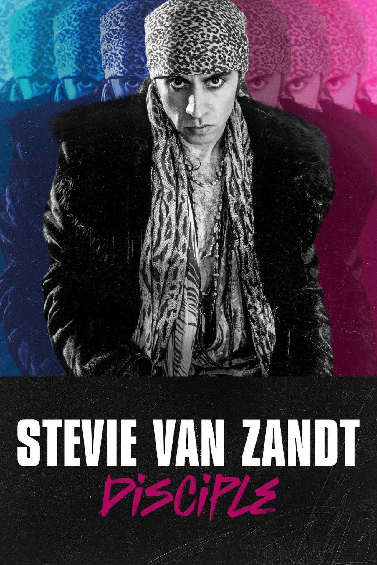Постер до фільму "Stevie Van Zandt: Disciple"