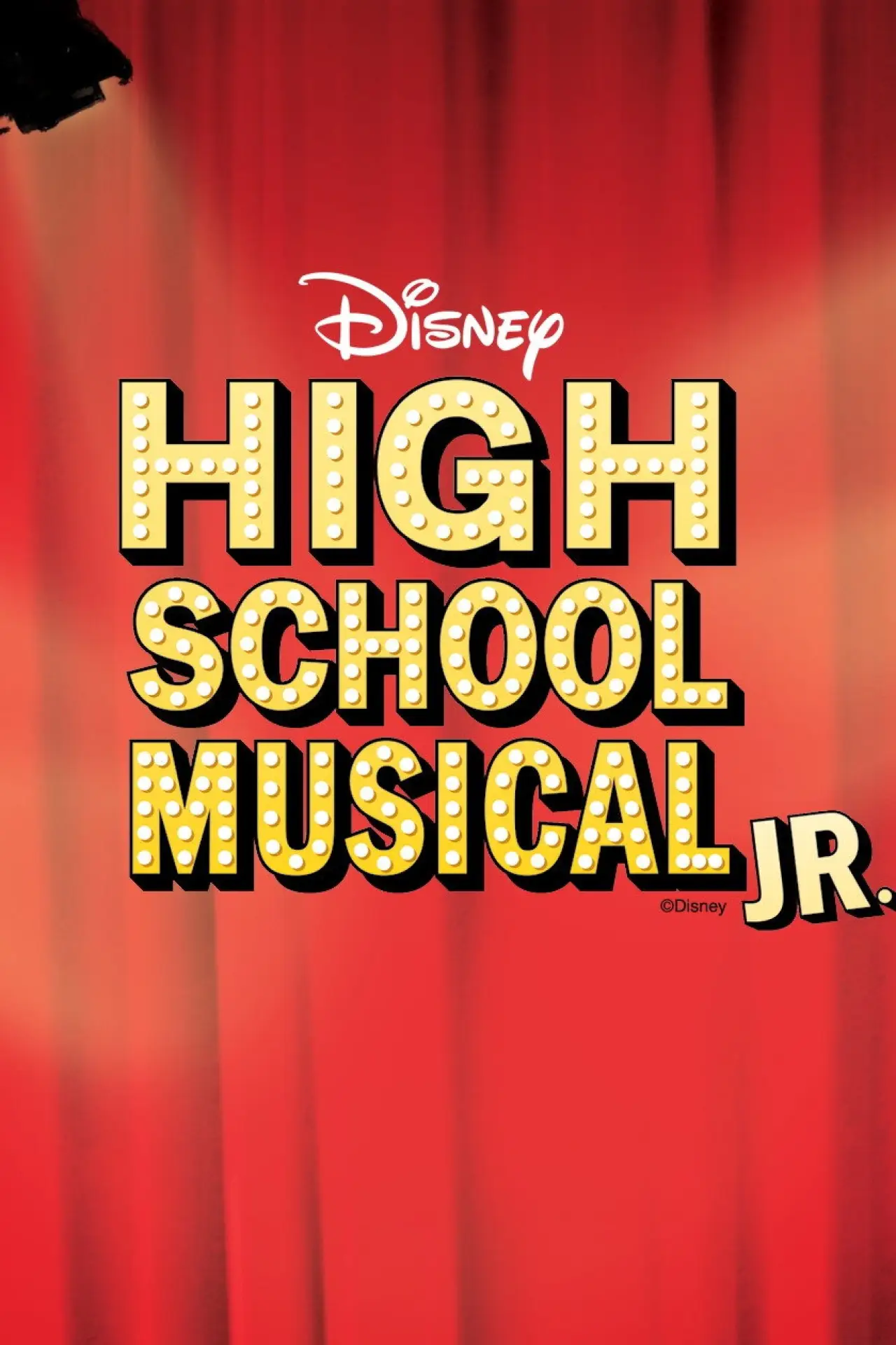 Постер до фільму "High School Musical Junior"