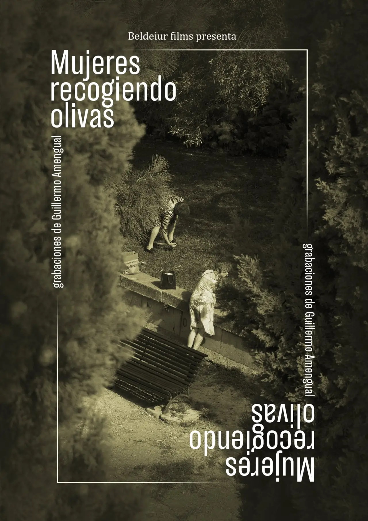 Постер до фільму "Mujeres recogiendo olivas"