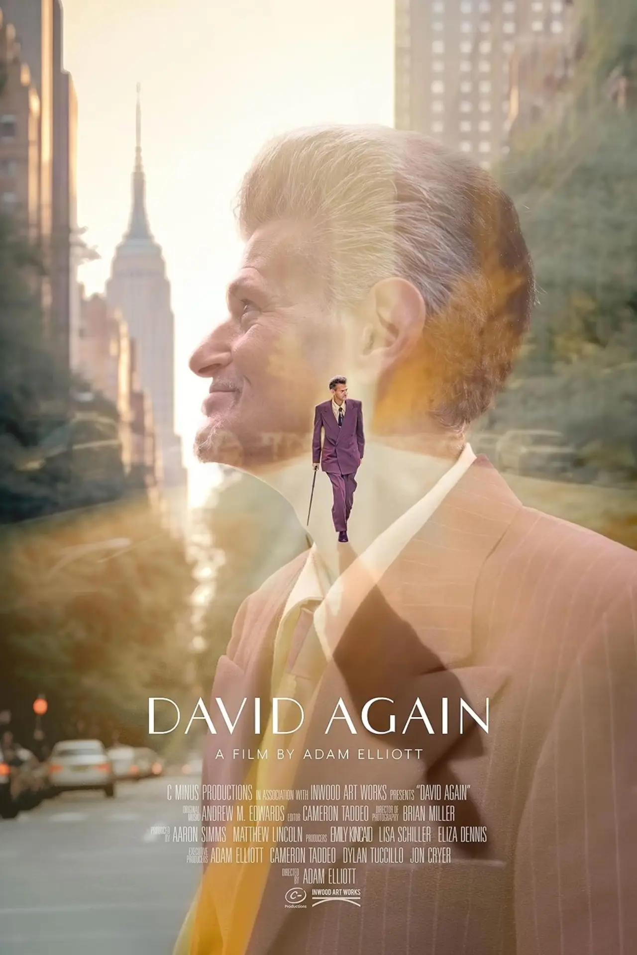 Постер до фільму "David Again"