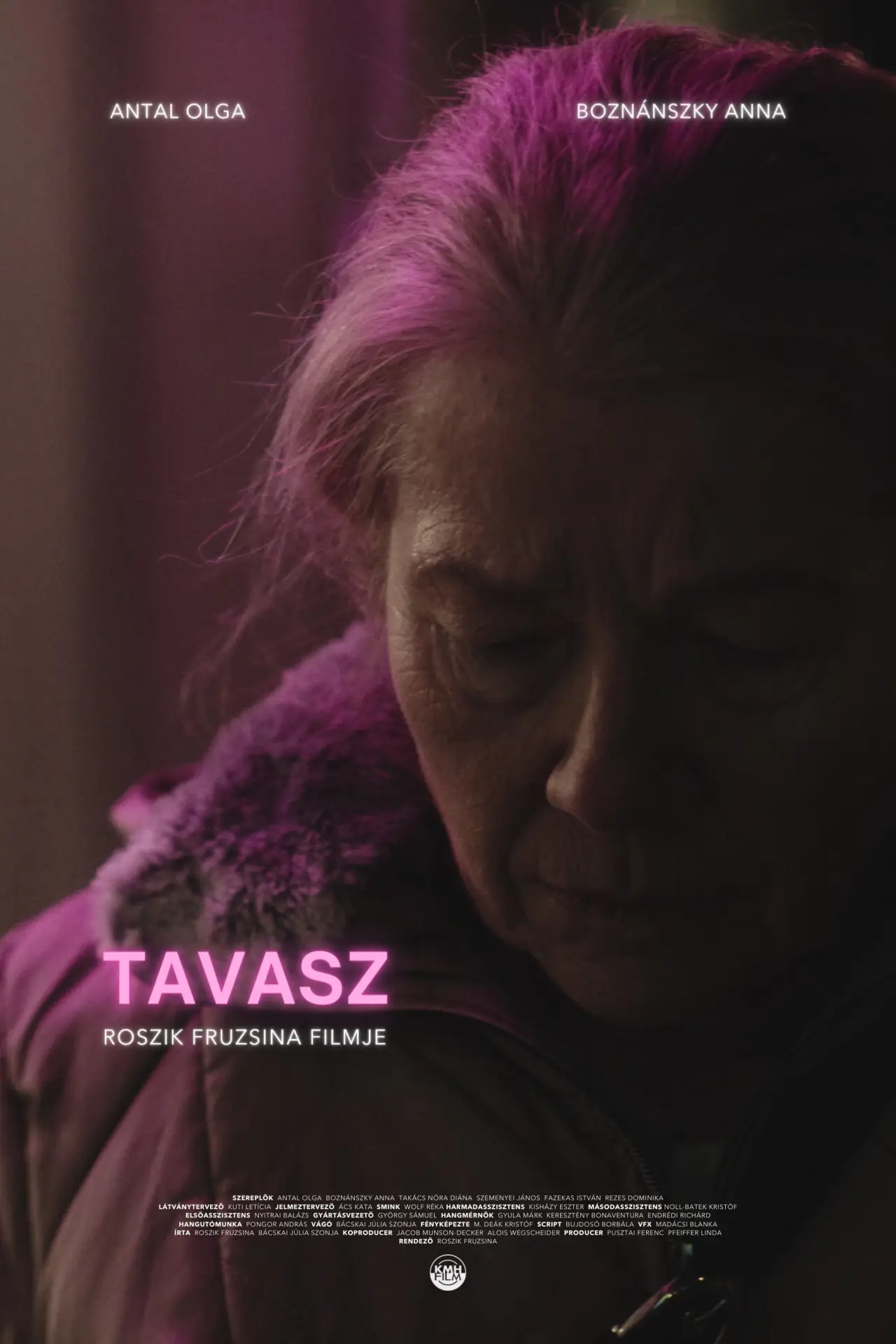 Постер до фільму "Tavasz"