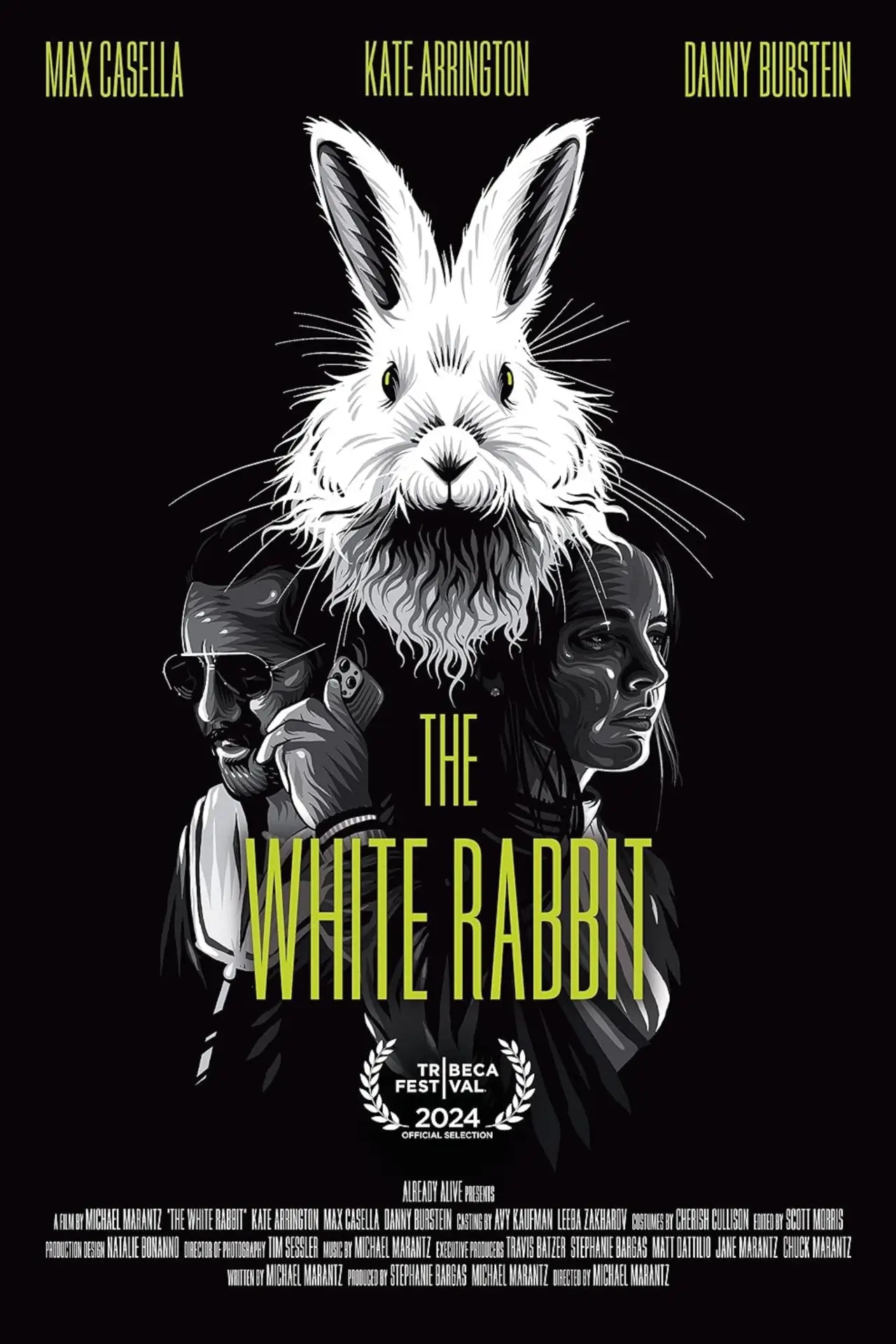 Постер до фільму "The White Rabbit"