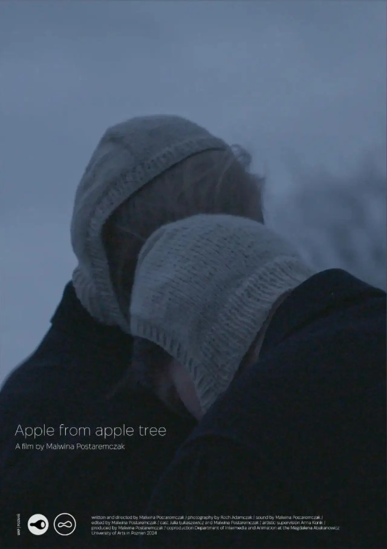 Постер до фільму "Apple from apple tree"