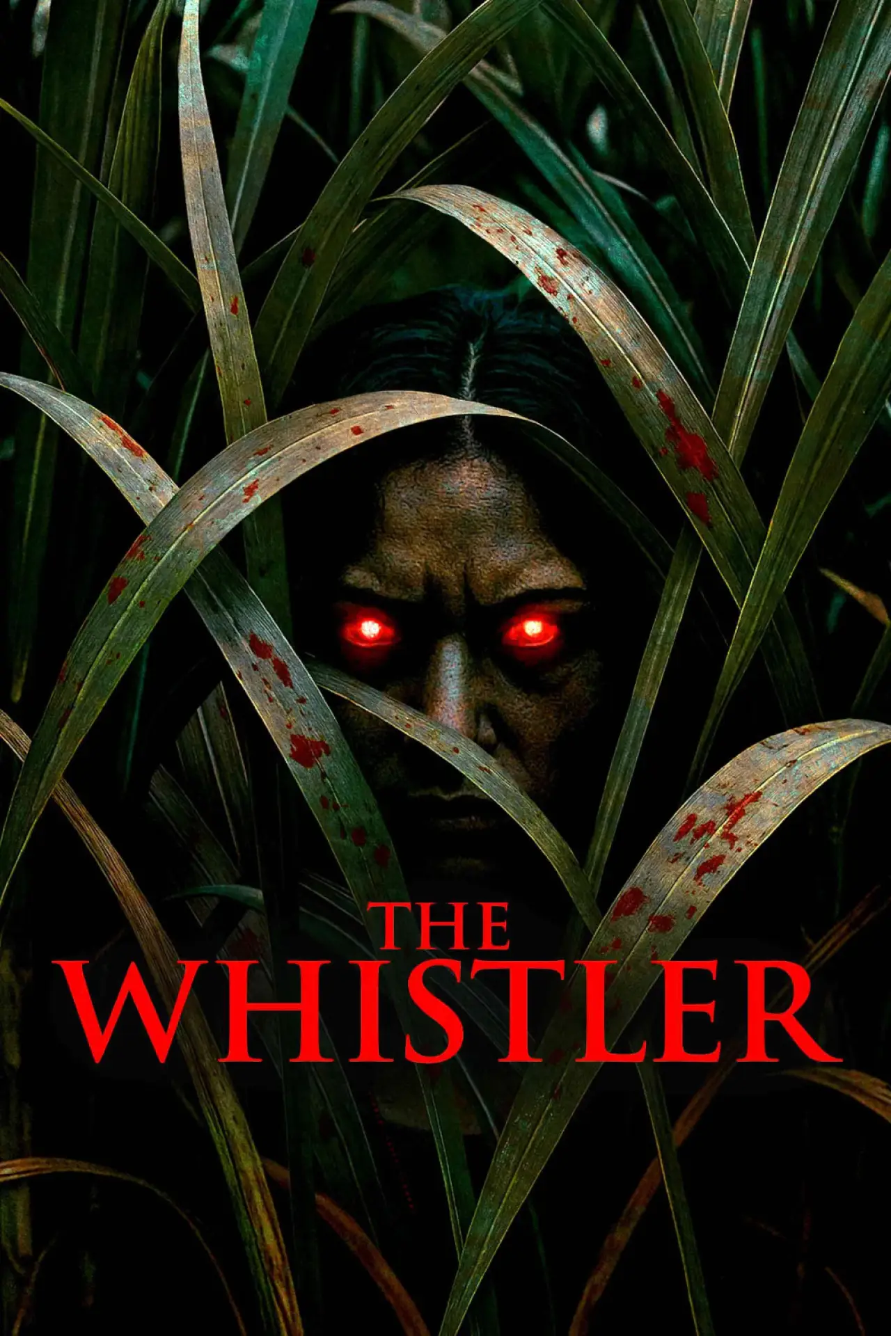 Постер до фільму "The Whistler"