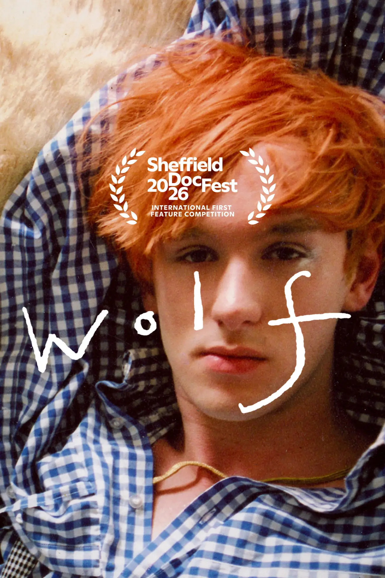 Постер до фільму "WOLF"