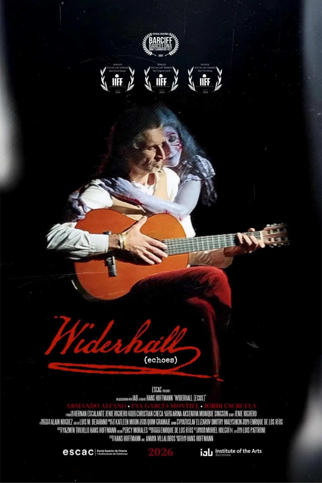 Постер до фільму "Widerhall"
