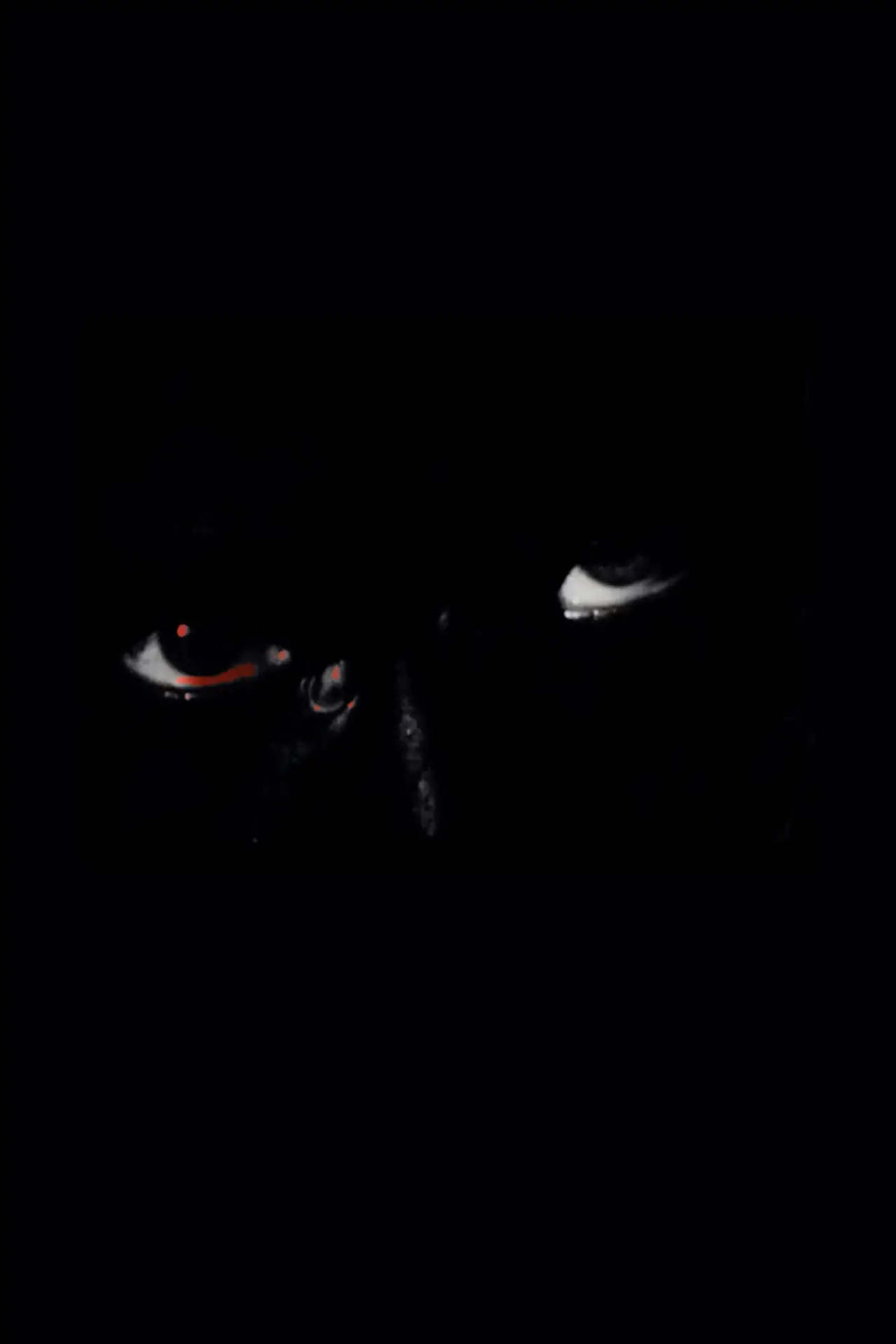 Постер до фільму "Projection"