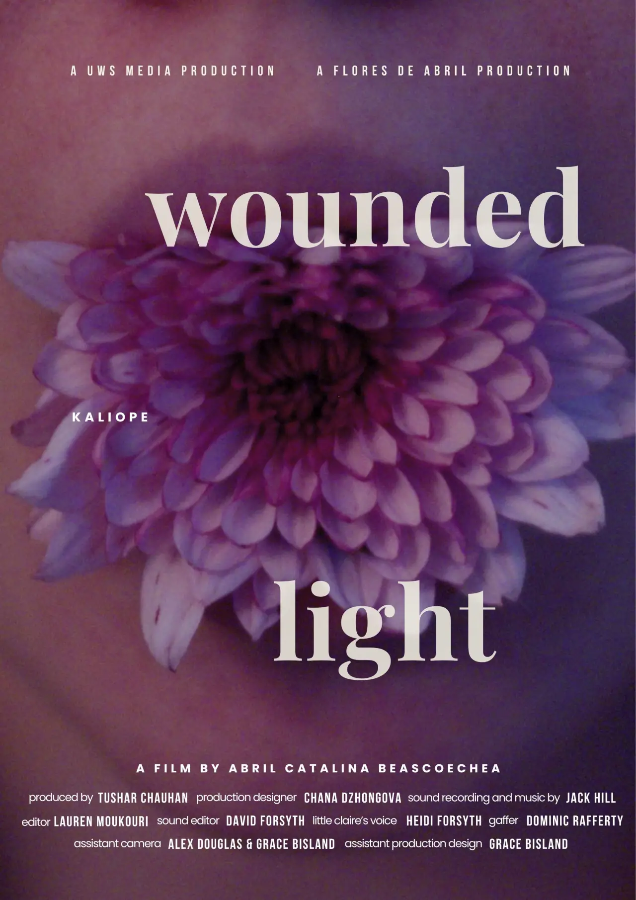 Постер до фільму "Wounded Light"