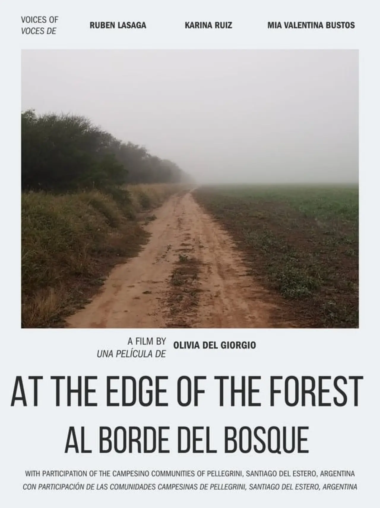 Постер до фільму "Al borde del bosque"
