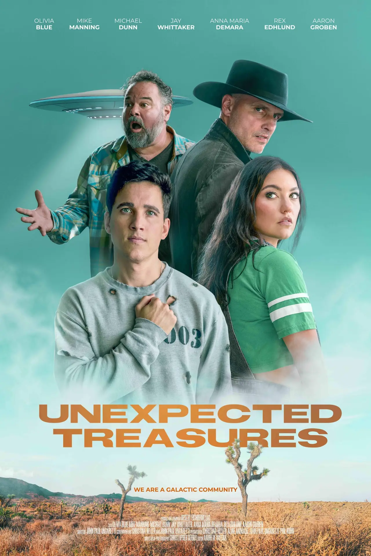 Постер до фільму "Unexpected Treasures"