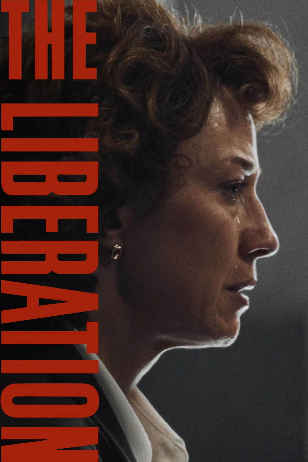 Постер до фільму "The Liberation"
