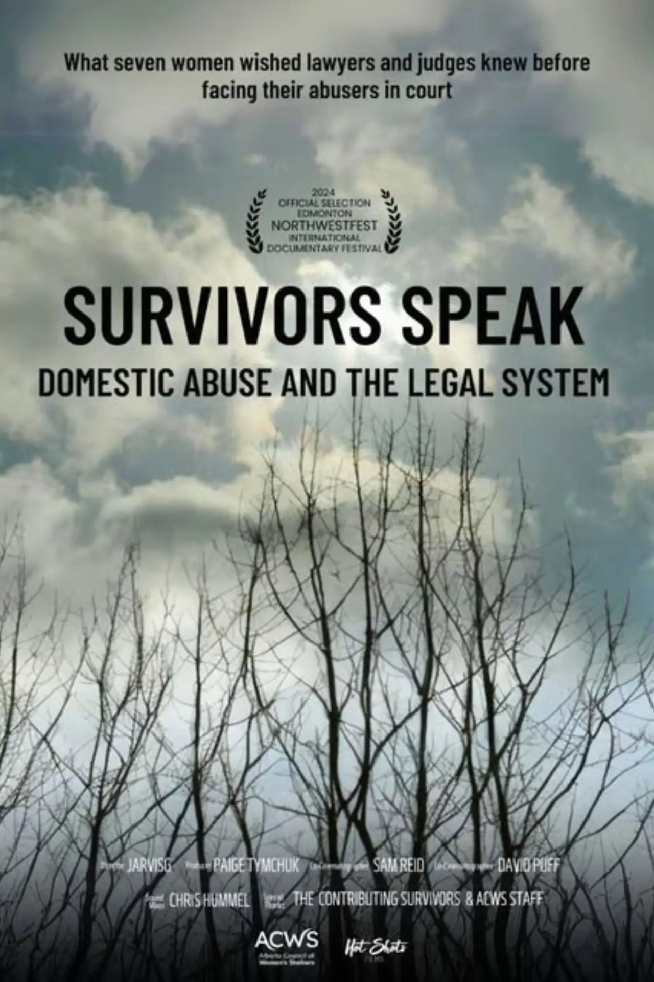 Постер до фільму "Survivors Speak: Domestic Abuse & the Legal System"