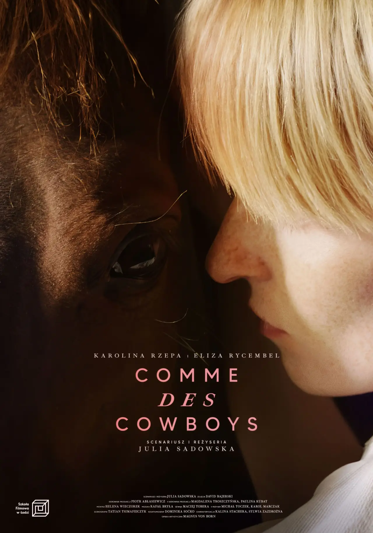 Постер до фільму "Comme des cowboys"