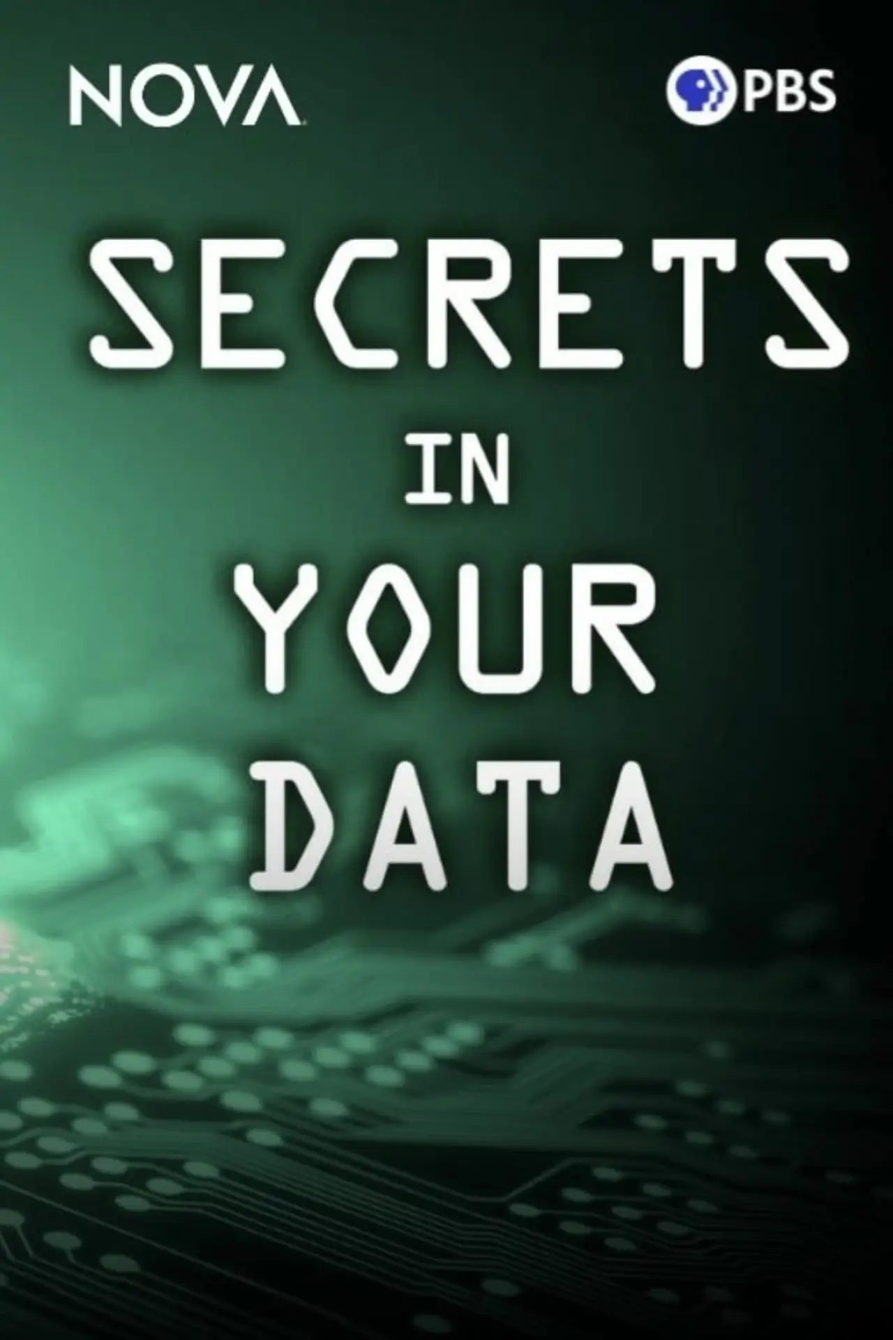 Постер до фільму "Secrets in Your Data"