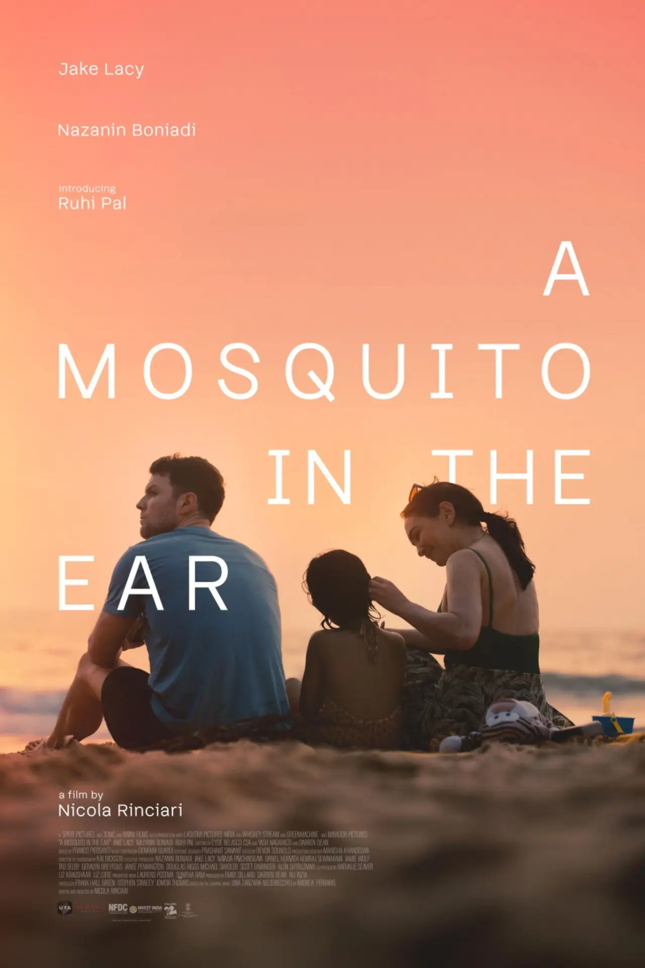 Постер до фільму "A Mosquito in the Ear"
