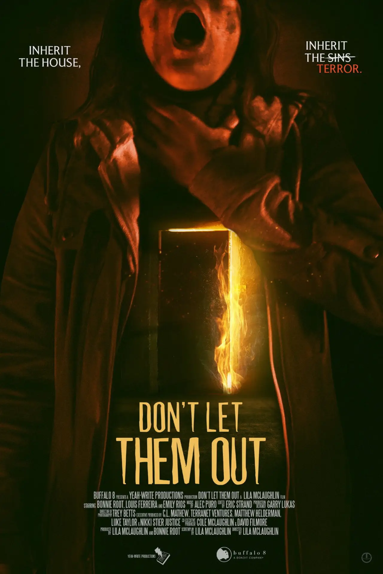 Постер до фільму "Don
