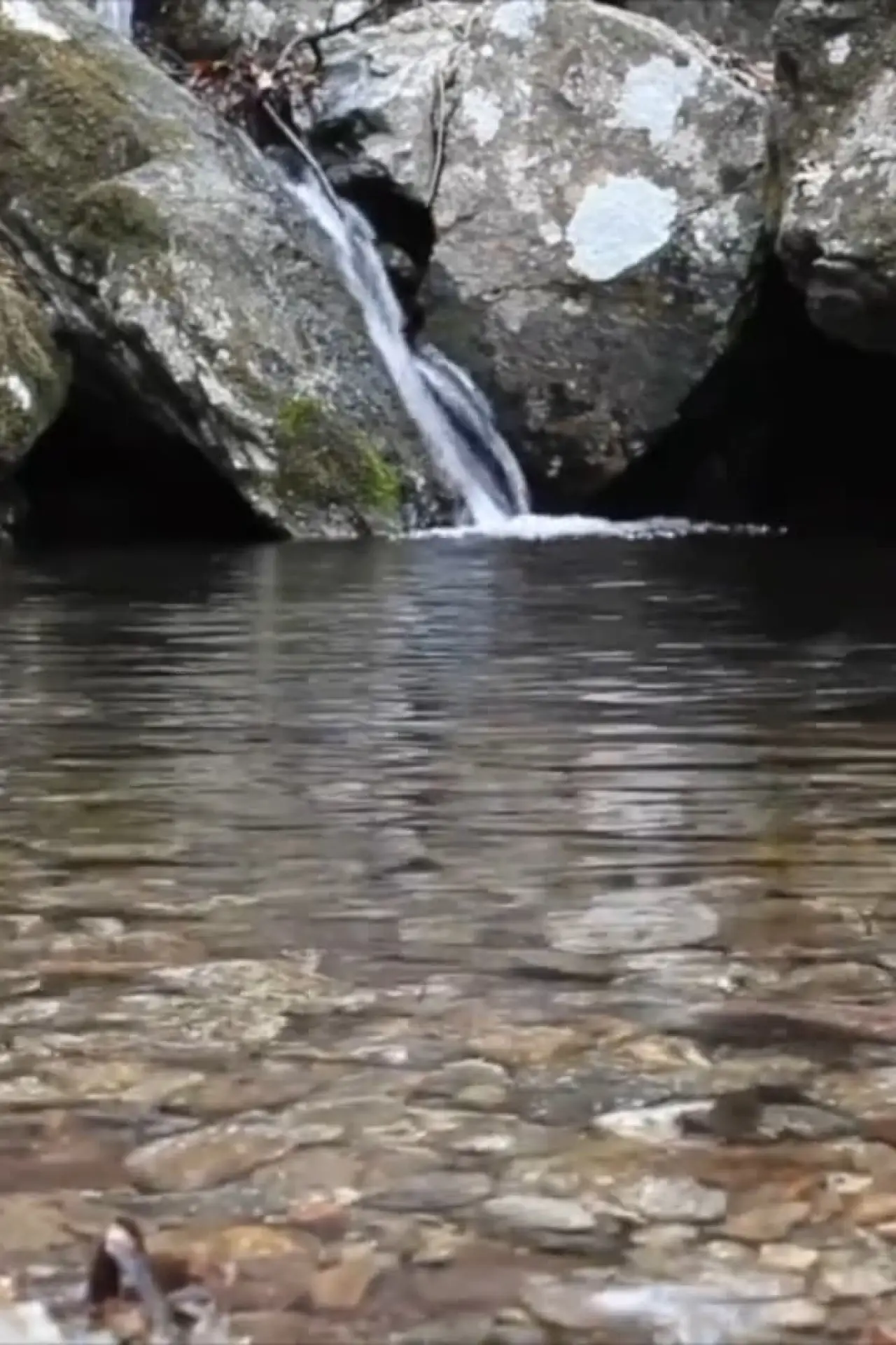 Постер до фільму "Water, Star Medicine"