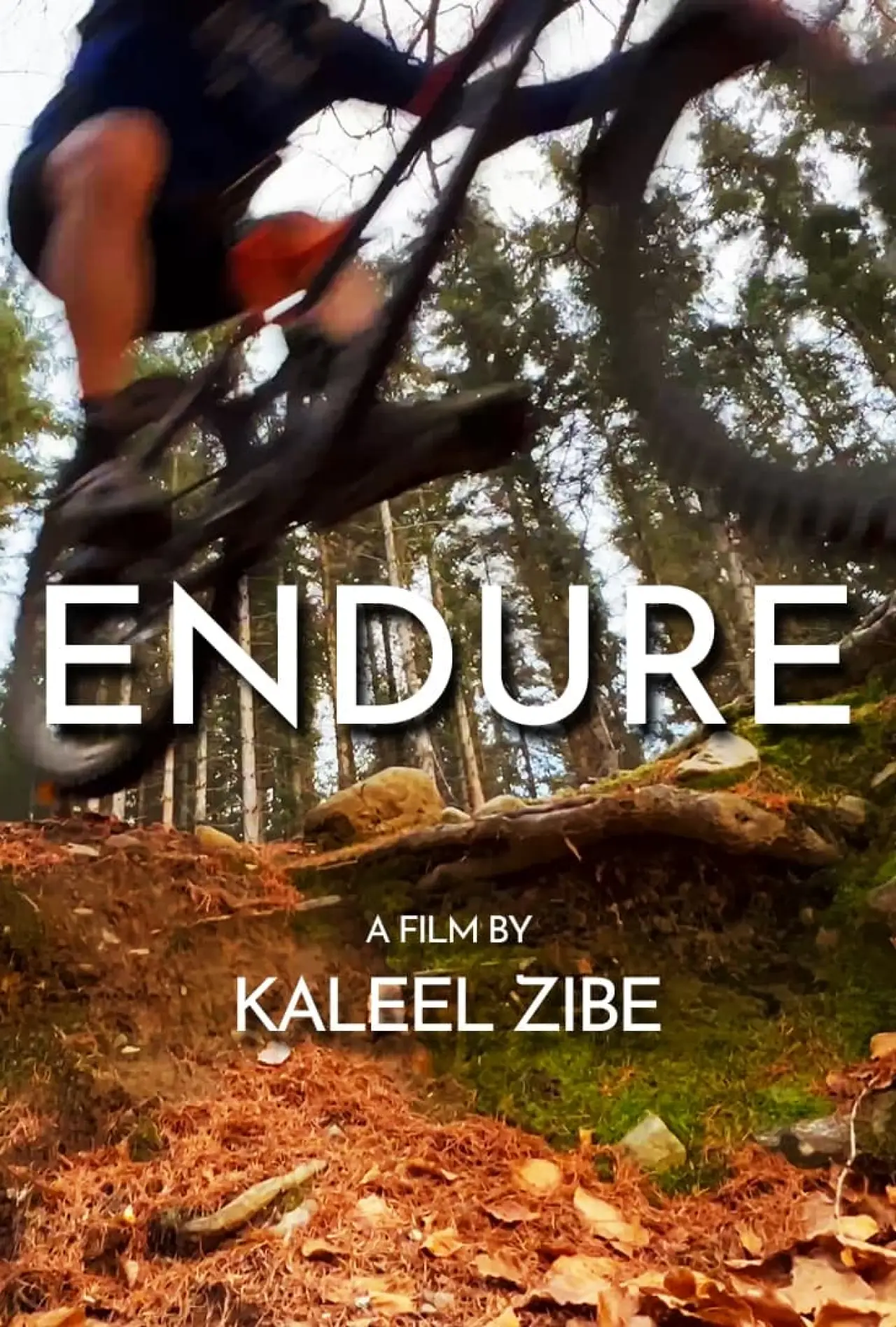 Постер до фільму "Endure"