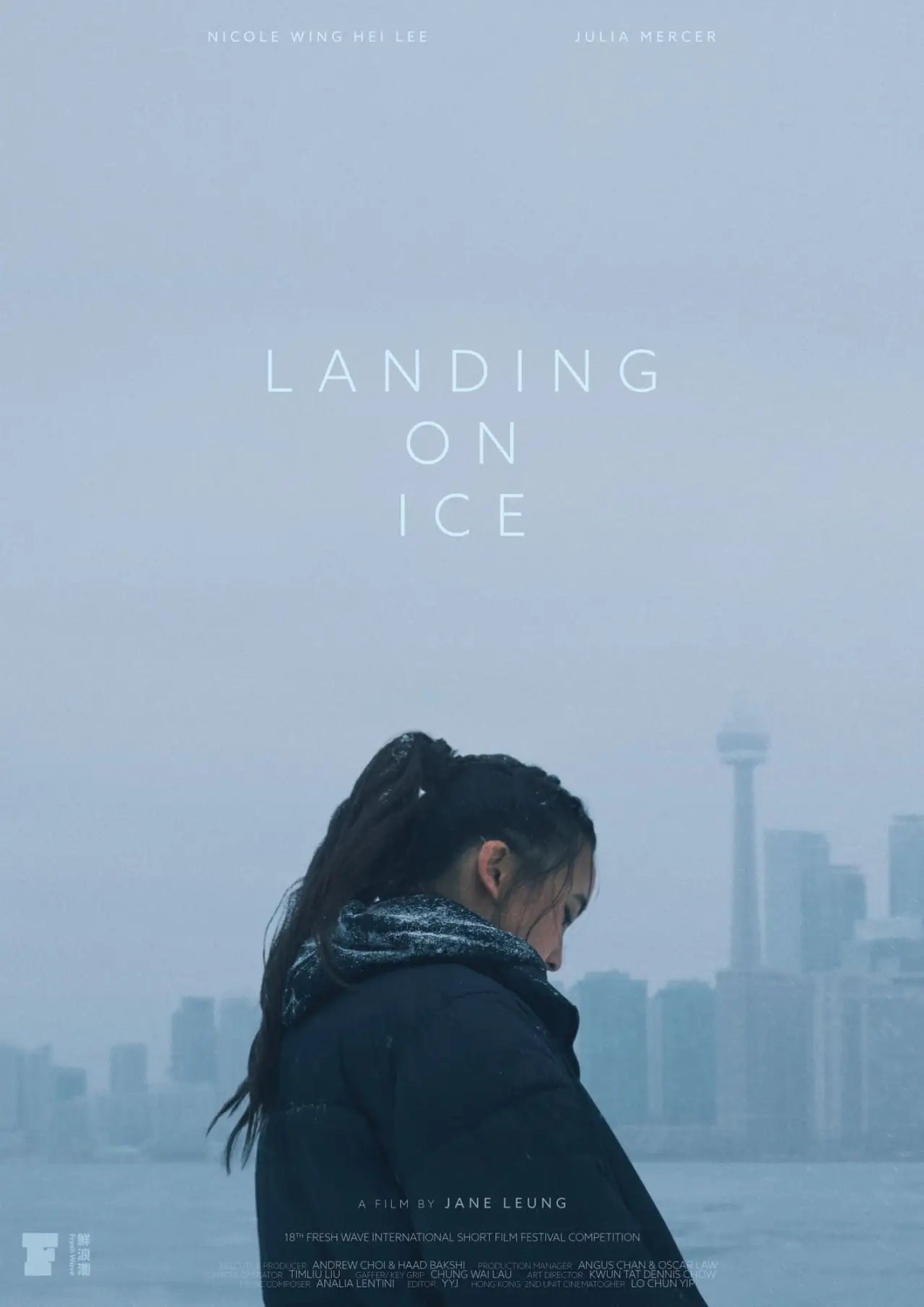 Постер до фільму "Landing On Ice"