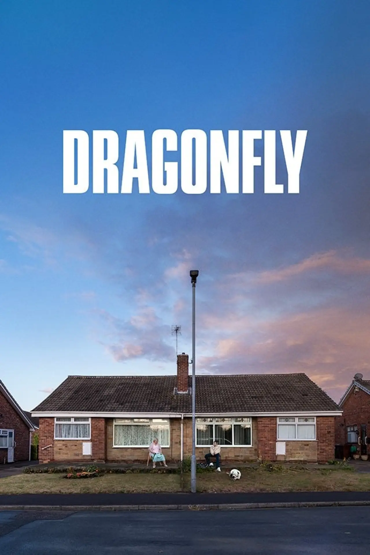 Постер до фільму "Dragonfly"