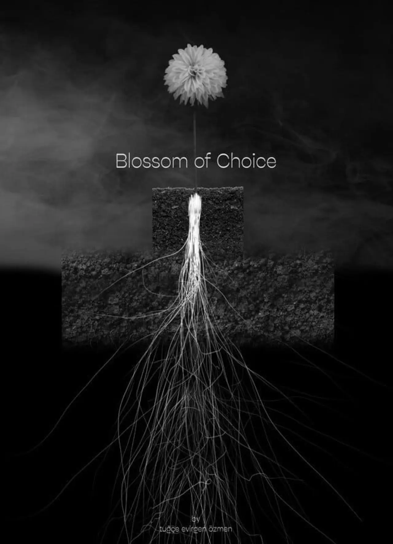 Постер до фільму "Blossom of Choice"