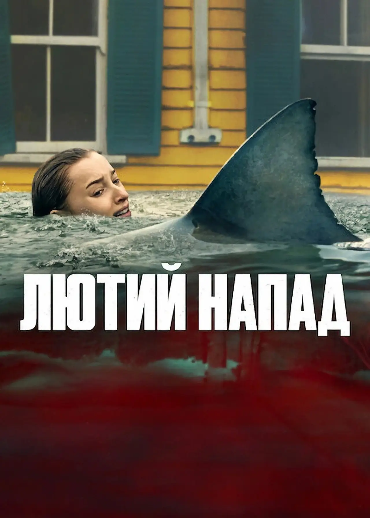 Постер до фільму "Лютий напад"