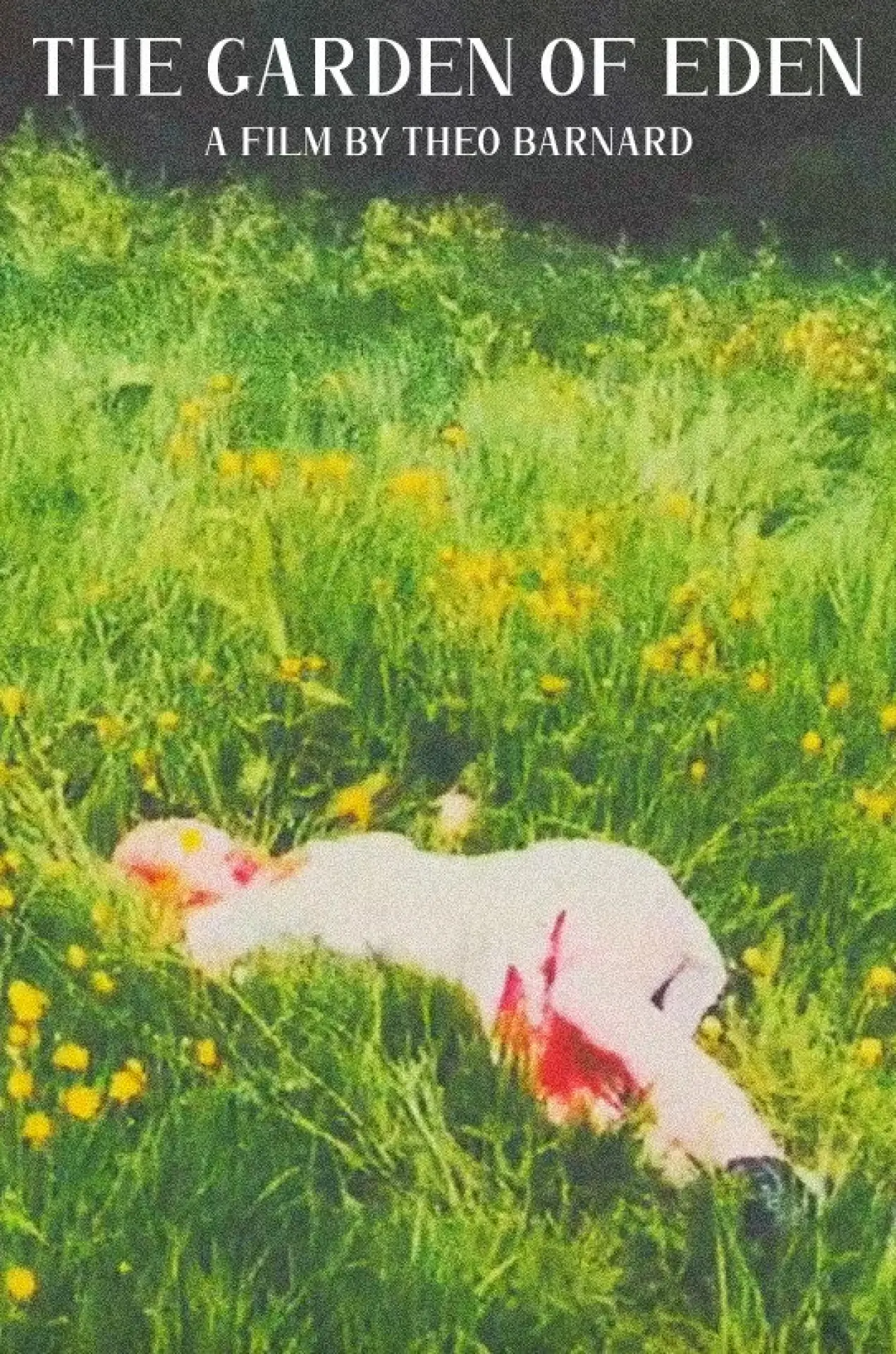 Постер до фільму "The Garden of Eden"