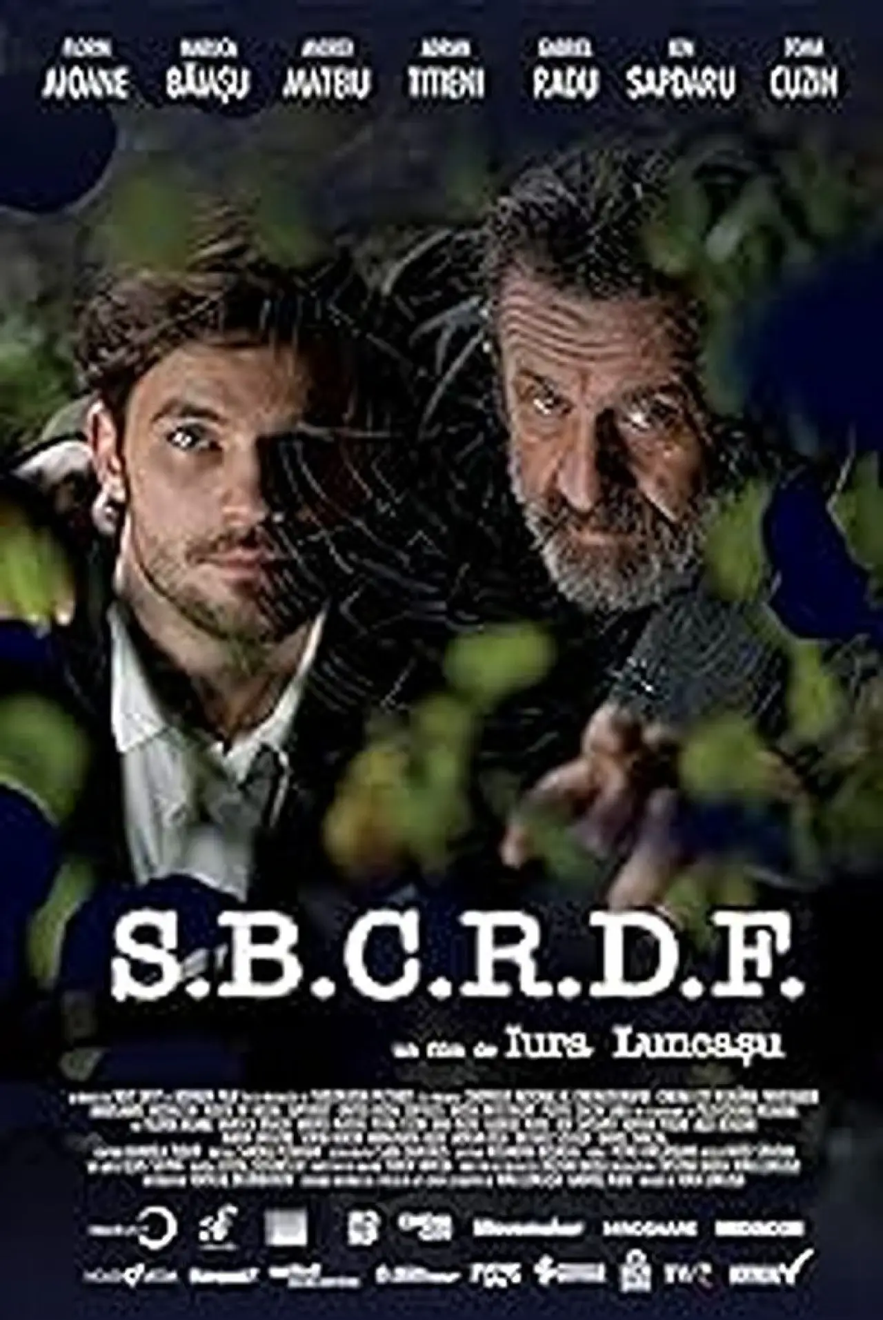 Постер до фільму "Duel in trei"