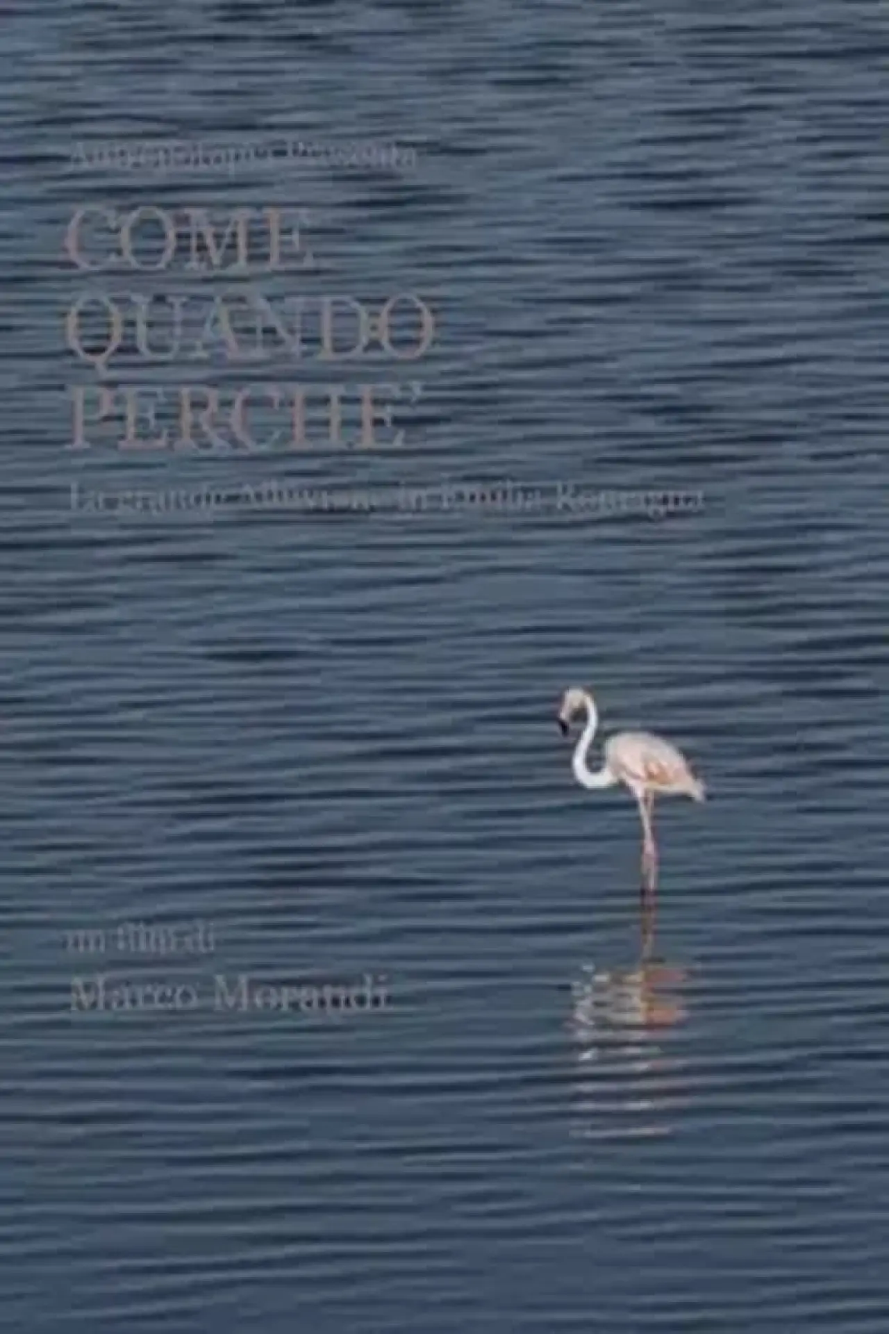 Постер до фільму "Come quando perché"