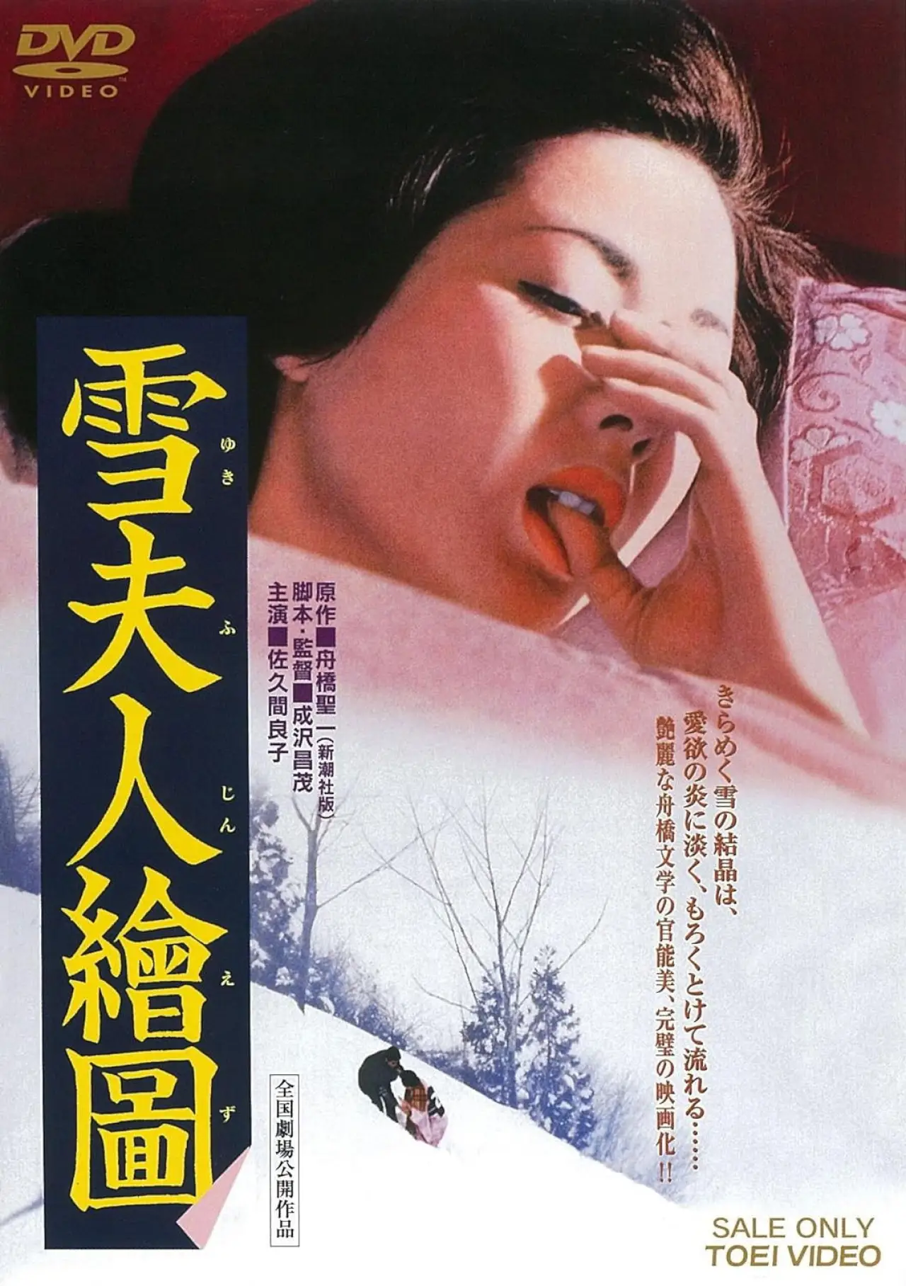Постер до фільму "雪夫人繪圖"
