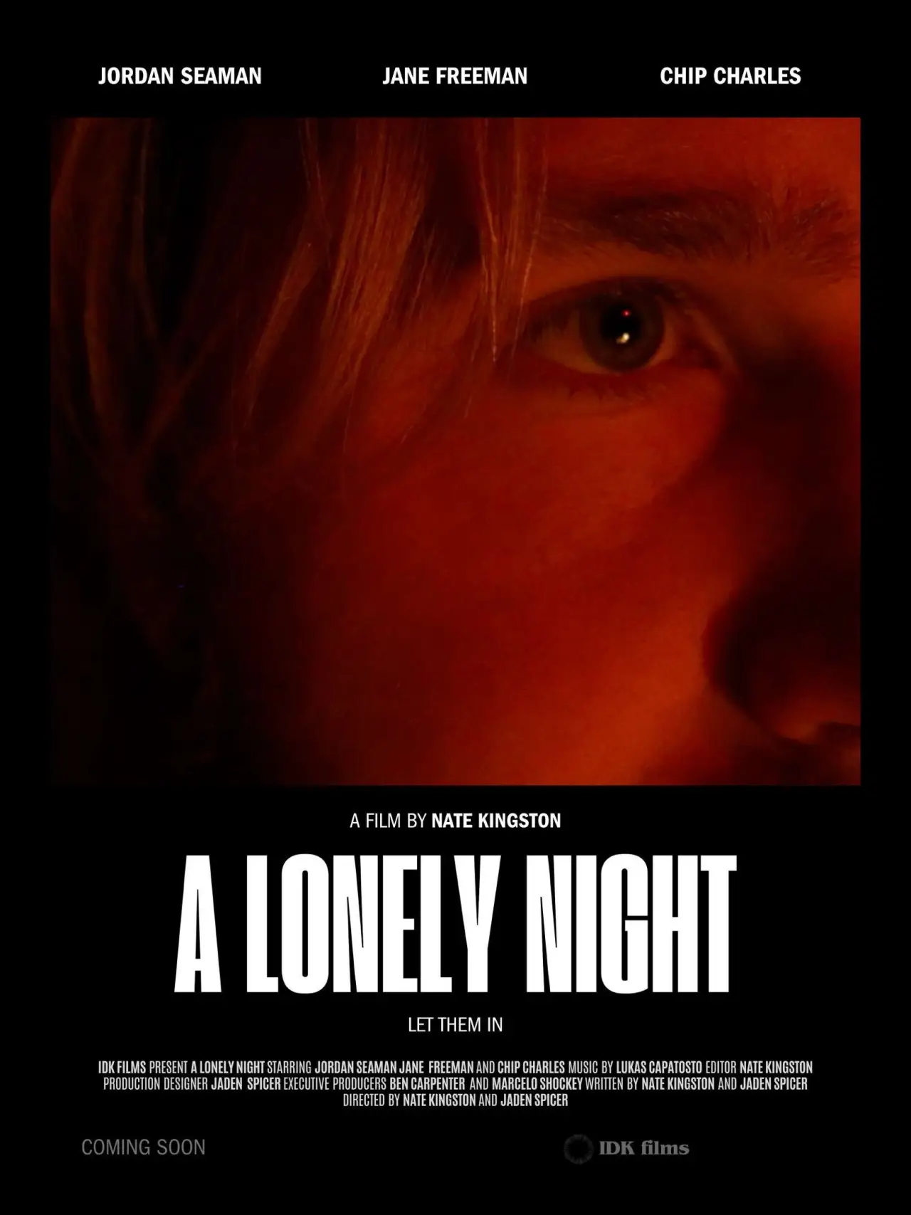 Постер до фільму "a lonely night"