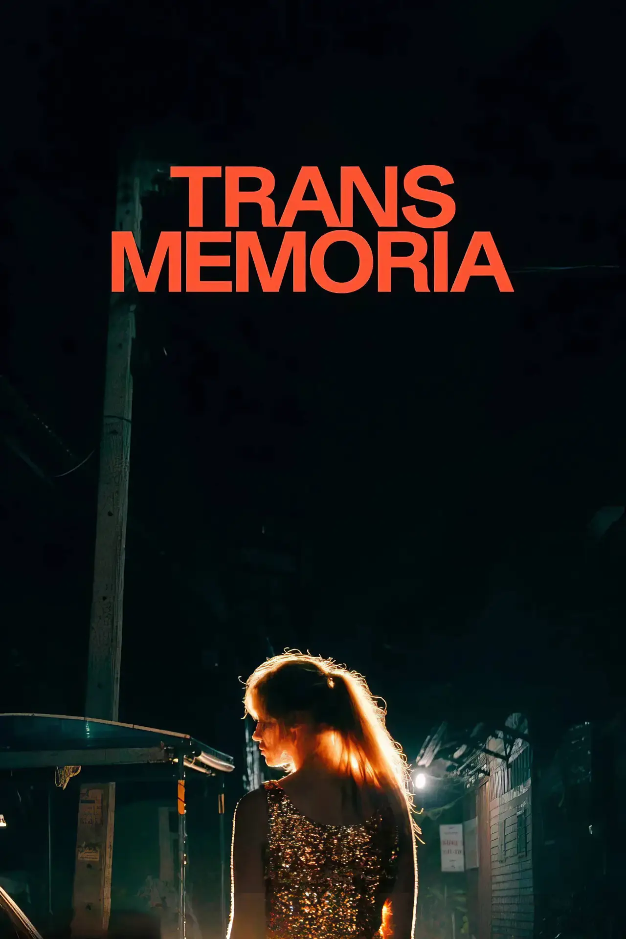 Постер до фільму "Trans Memoria"