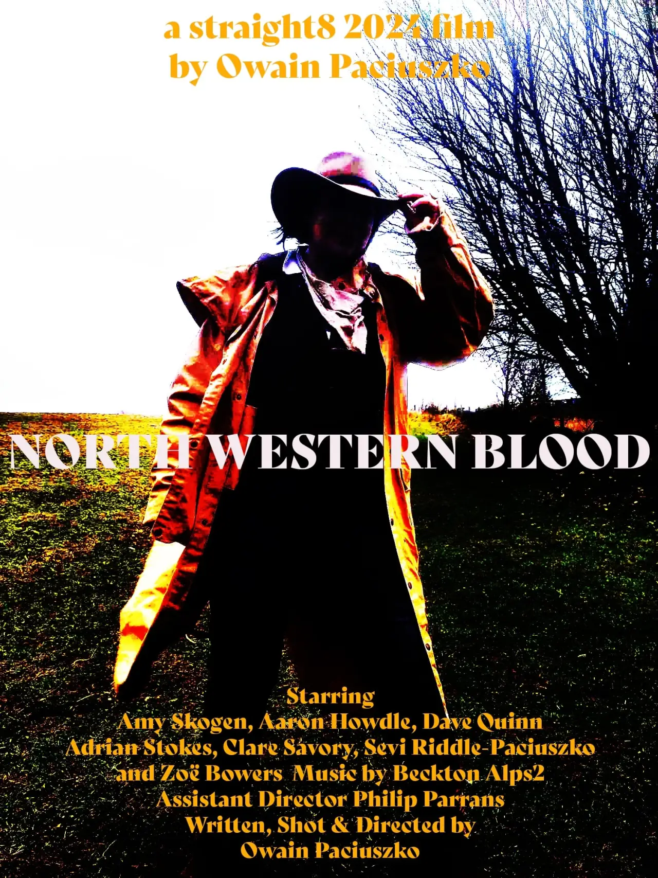 Постер до фільму "North Western Blood"