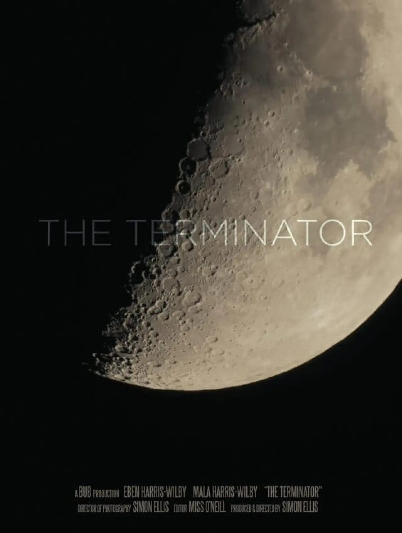 Постер до фільму "The Terminator"